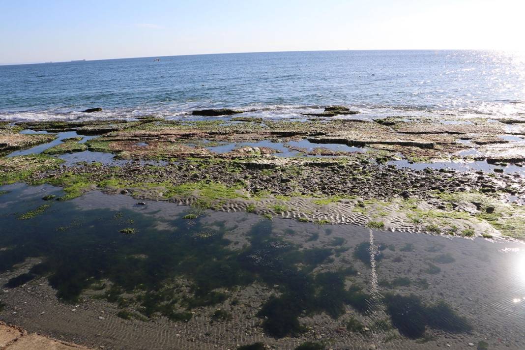 Marmara'da korkutan görüntü: Deniz 25 metre çekildi! Deprem habercisi mi? Uzmanı yanıtladı 5